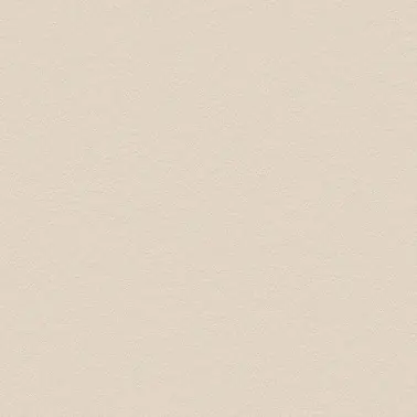 NH49 Snowflake Stucco