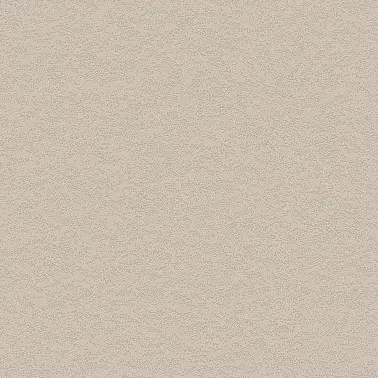 NH50 Cashmere Stucco
