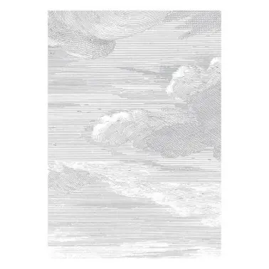 WP-620 Wall Mural Engraved Clouds
