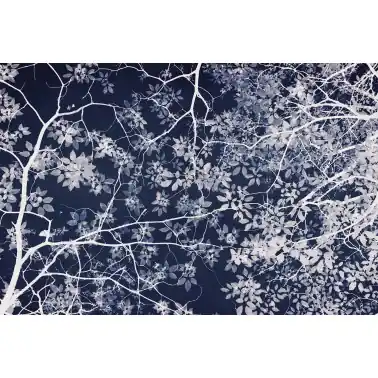 Jardin Nocturne DOM3014