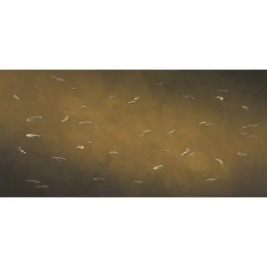 M4302-1_Aljibe