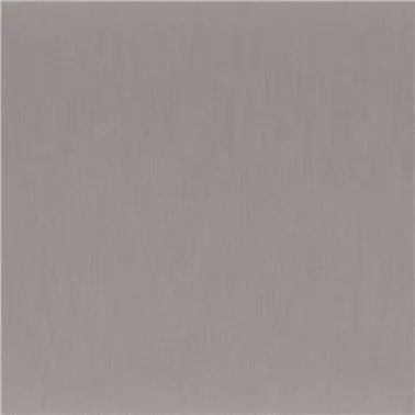 Anemone Ardoise 50111440