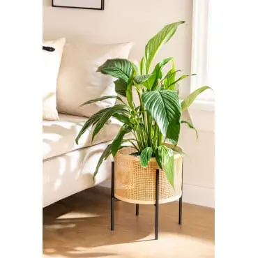 Portavaso in rattan Daek