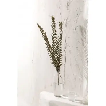 Pack di 10 rami secchi decorativi Sarat