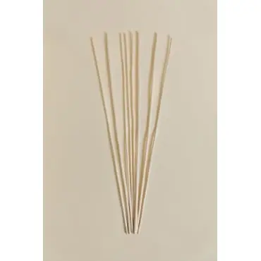 Pacchetto da 8 rami secchi decorativi Olitorius