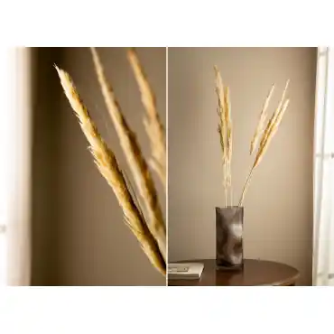 Confezione da 6 rami secchi decorativi Megina