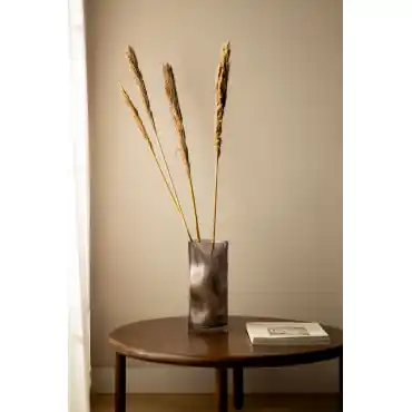 Pack di 4 rami secchi decorativi Pampy