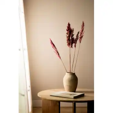 Pack di 5 rami secchi decorativi Dagrai
