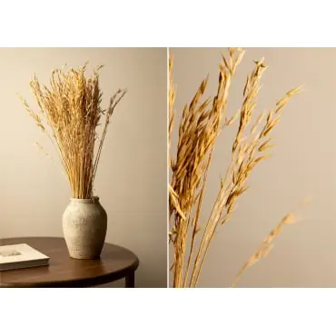 Ramo decorativo Jayra