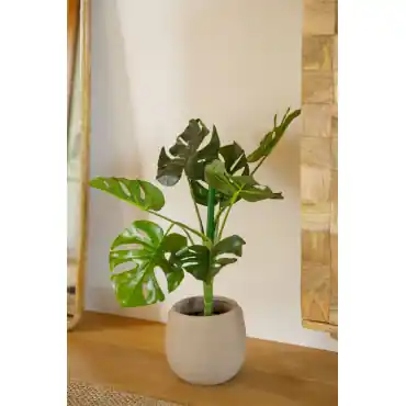 Pianta artificiale decorativa ↑70 cm Monstera