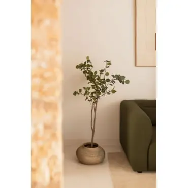 Pianta artificiale decorativa ↑130 cm Eucalipto