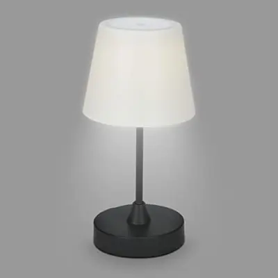 Lampada esterno Briloner campi usb 3w nero