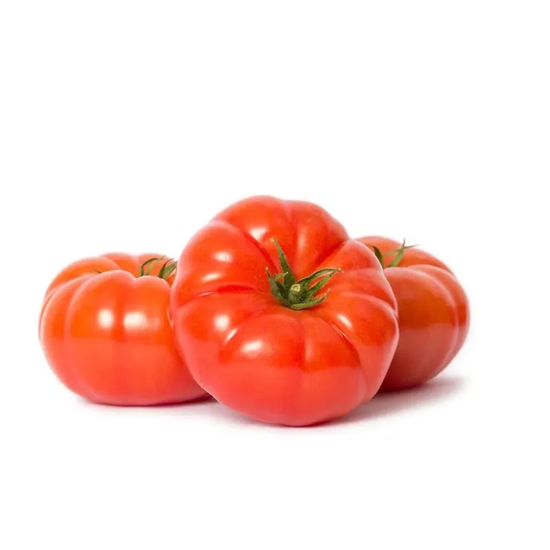 Pomodoro innestato vigoroso in vaso Ø 14 cm