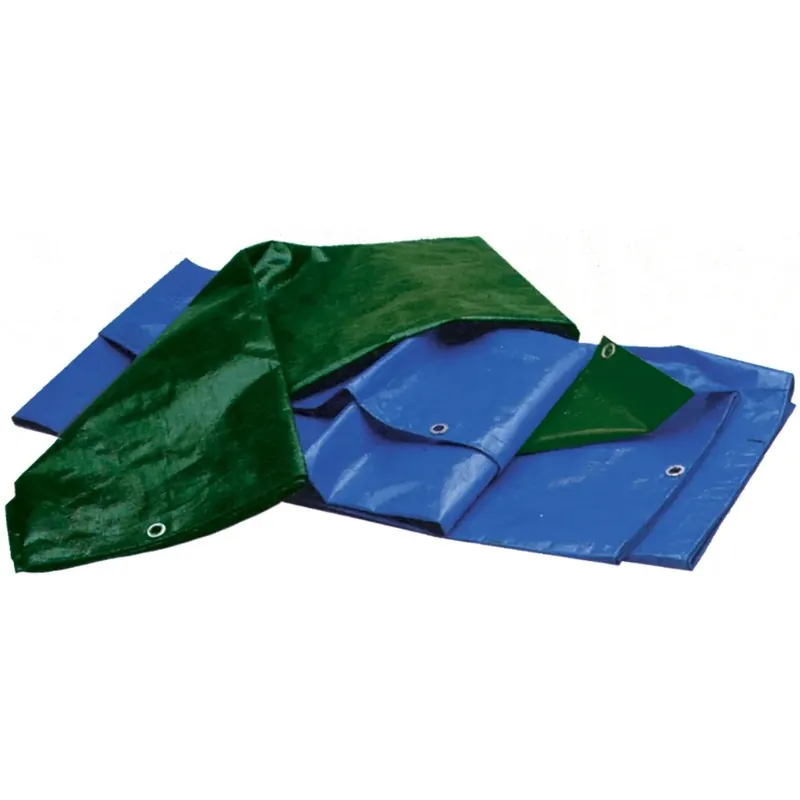 Telone occhiellato antistrappo 8 x 10 m blu e verde