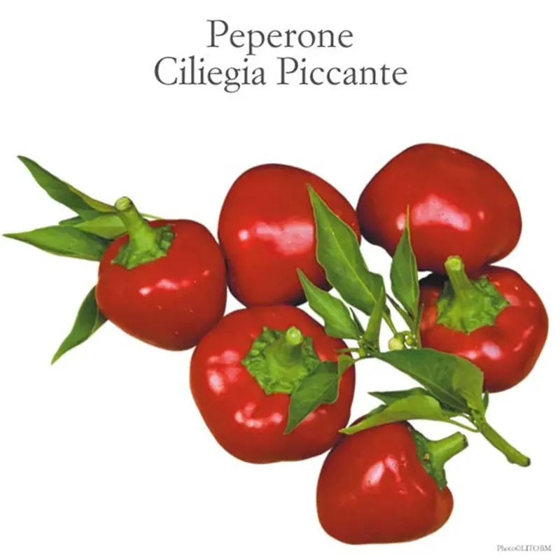 Peperone Ciliegia piccante vaschetta 4 pz