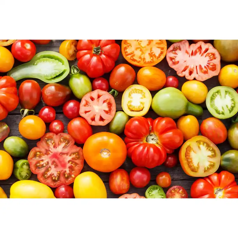Pomodoro lungo vaschetta 4 pezzi