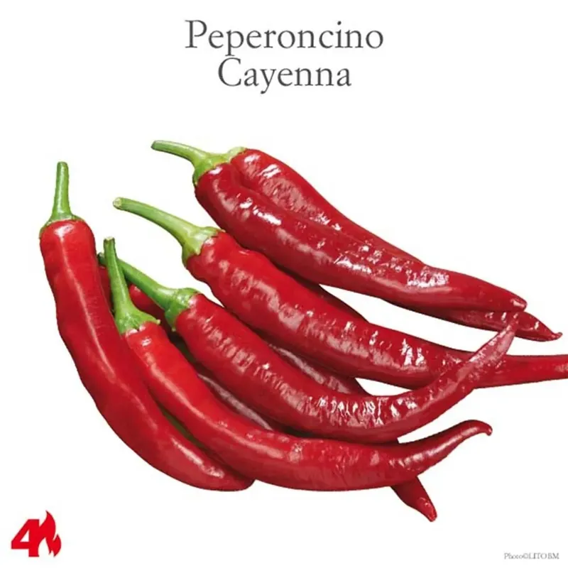 Peperone piccante Cayenna vaschetta 4 pz