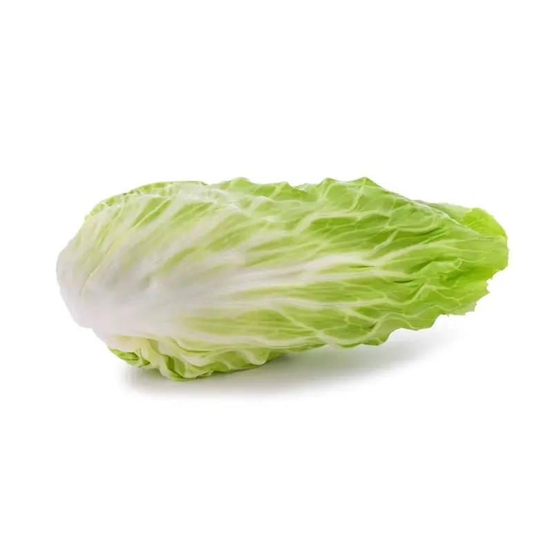 Cicoria pan di zucchero