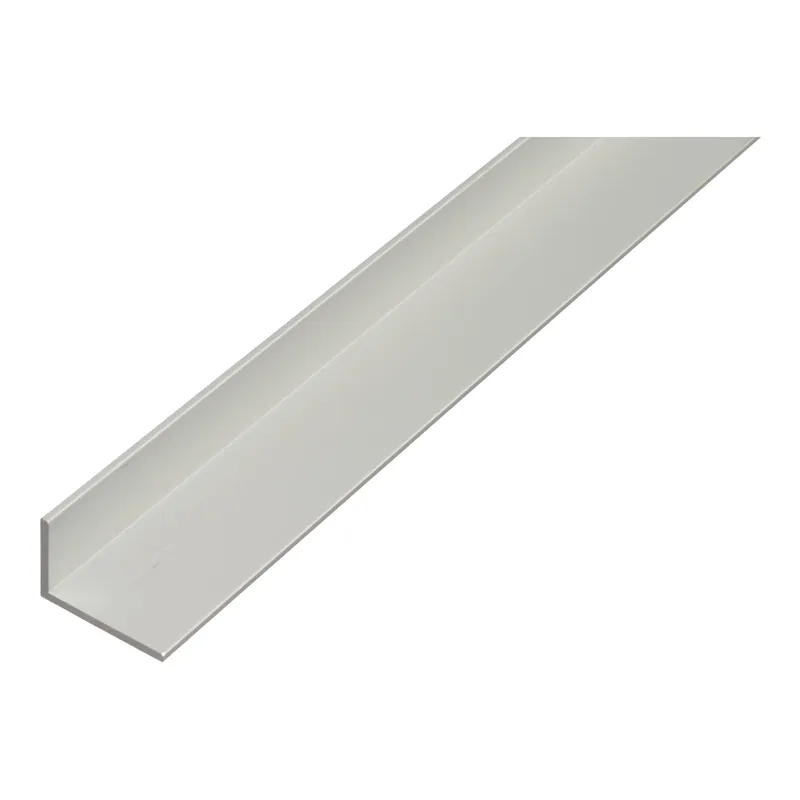 ANGOLARE L ALLUMINIO ANODIZZATO 40x20x2 mm 2,6 m ARGENTO