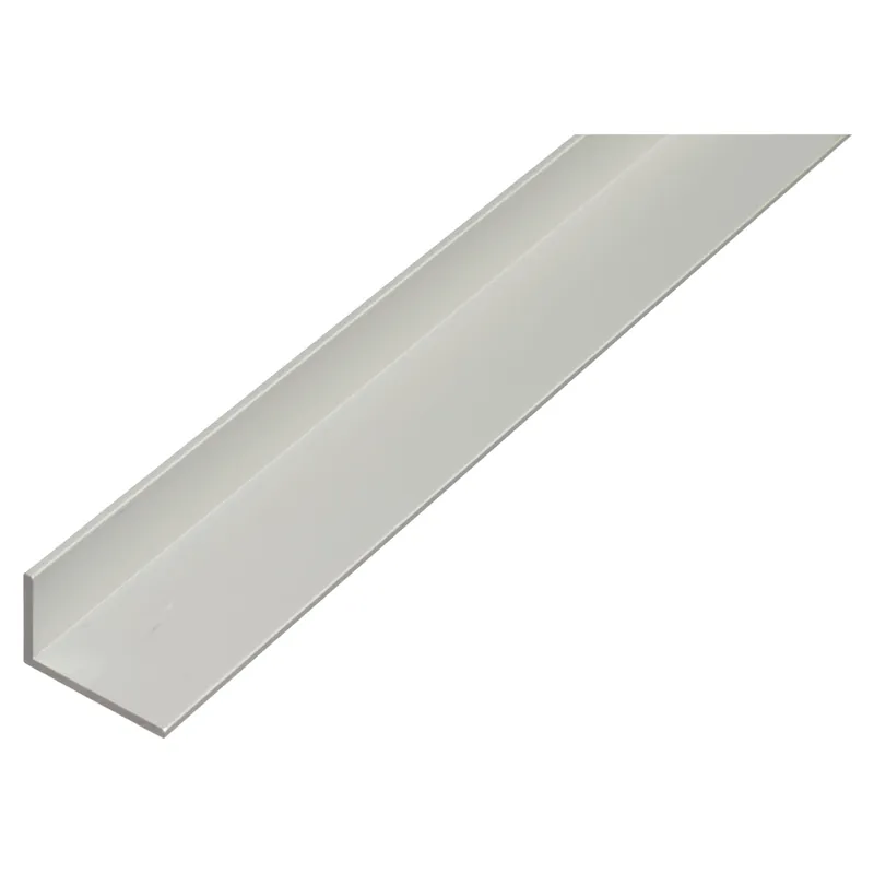 ANGOLARE L ALLUMINIO ANODIZZATO 30x20x2 mm 2 m ARGENTO