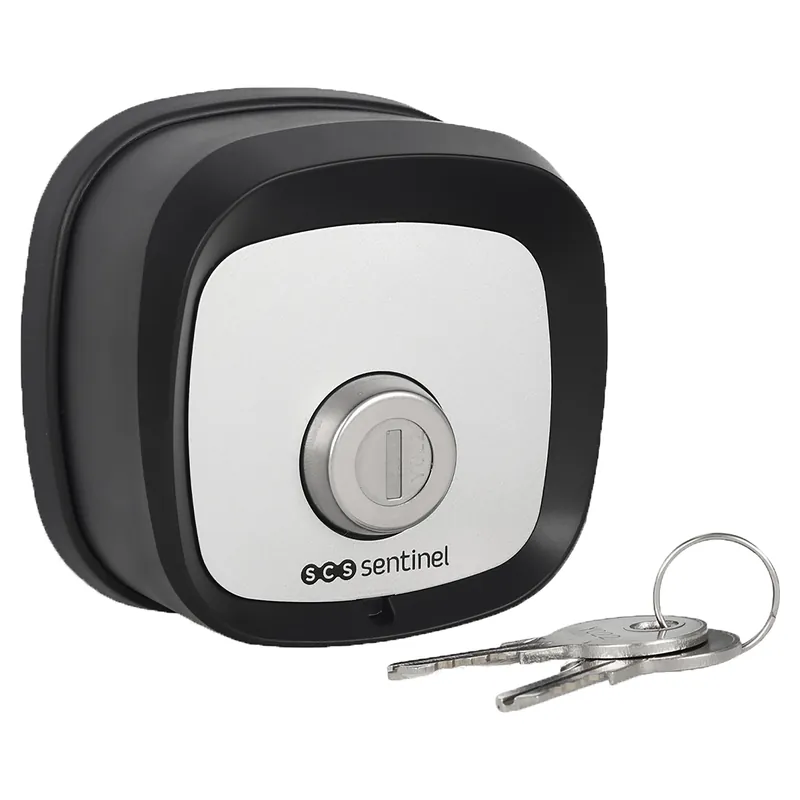 SELETTORE A CHIAVE SCS IP44 12-24V
