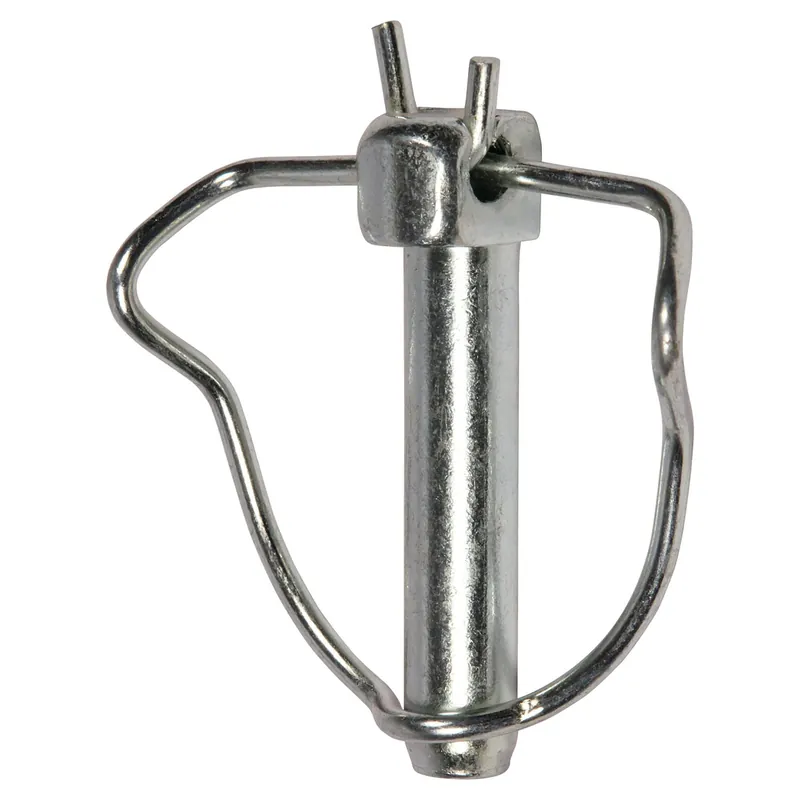 SPINA DI SICUREZZA Ø 11x50 mm