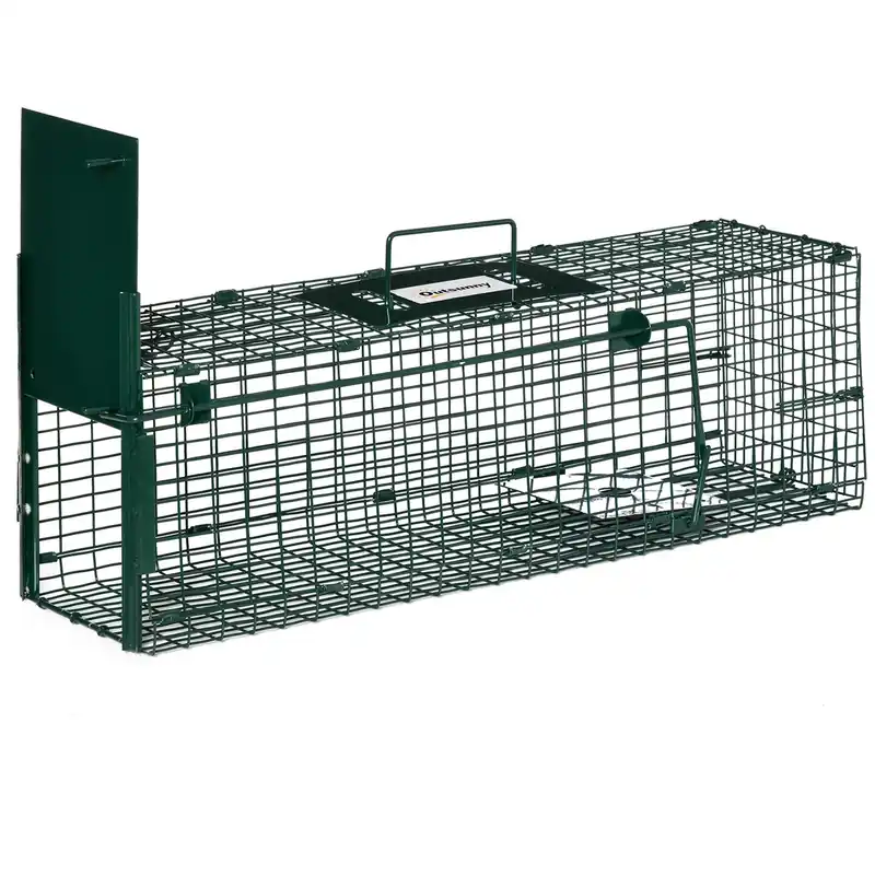 Easycomfort Gabbia Trappola per Ratti, Topi e Nutrie con Porta Singola, 60x18x20cm, Verde