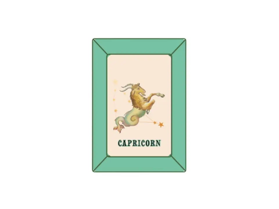 Oroscopo, svuotatasche 12x16,5 cm - capricorn